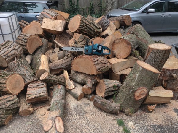 2020-08-13 09.58.16.jpg