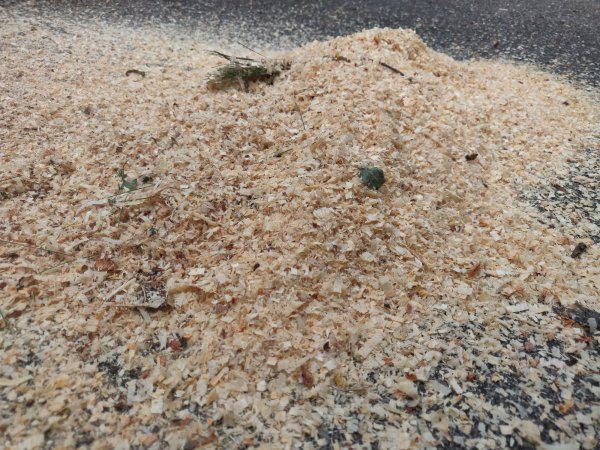 2020-08-13 09.58.22.jpg