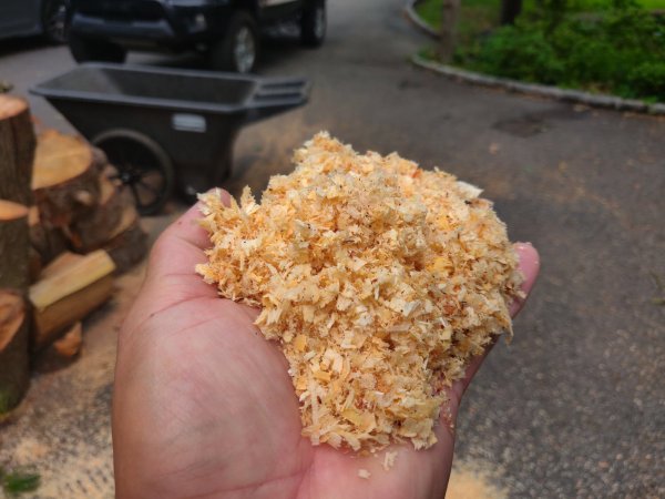 2020-08-13 09.58.28.jpg