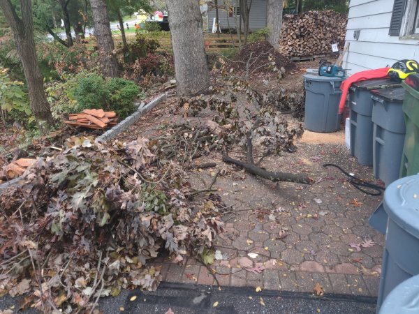 2020-10-13 15.45.36.jpg