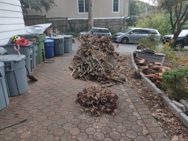 2020-10-13 16.49.44.jpg