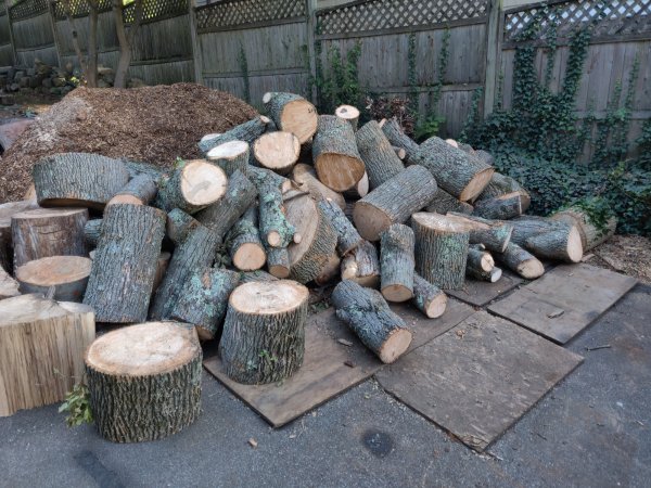 2020-10-08 09.24.10.jpg