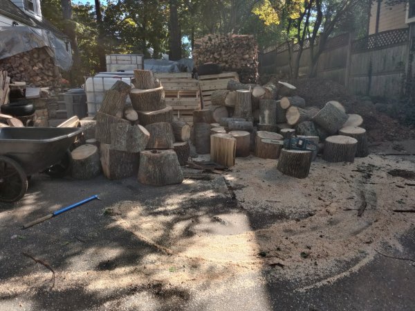 2020-10-08 11.37.16.jpg