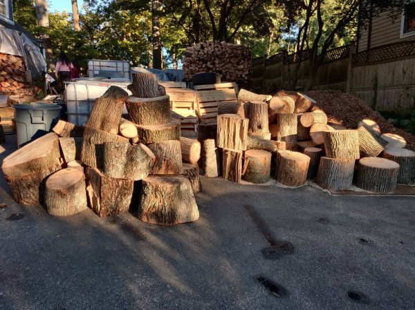 2020-10-08 17.29.15.jpg