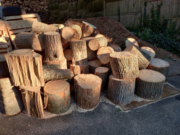 2020-10-08 17.29.20.jpg