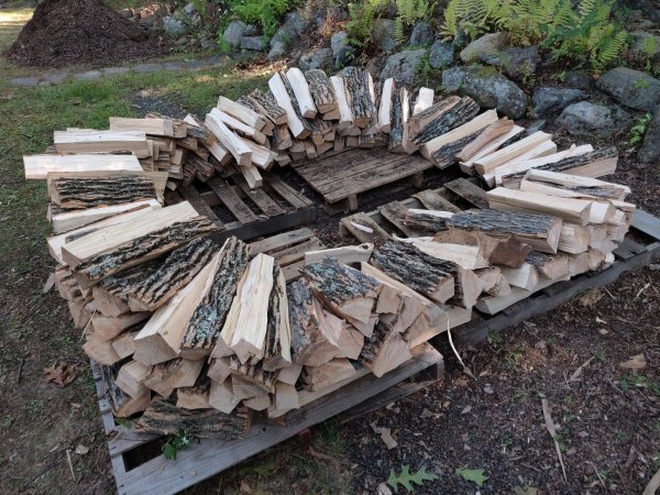 2020-09-21 10.10.26.jpg