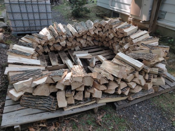 2020-09-21 13.04.50.jpg