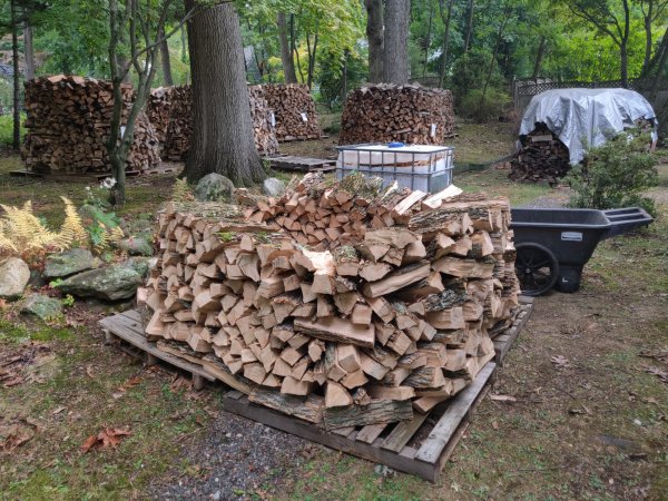 2020-09-28 12.33.34.jpg