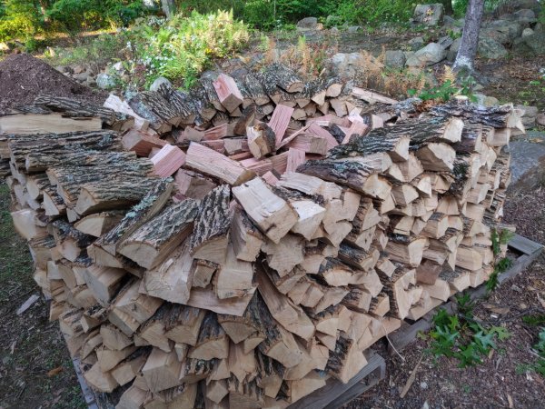 2020-10-04 17.24.24.jpg