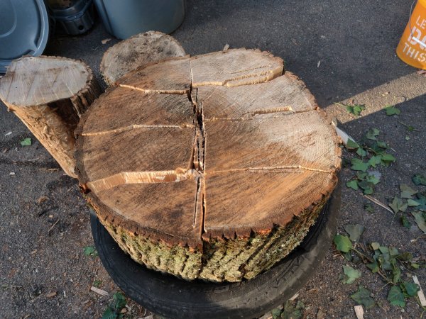 2020-10-15 17.02.58.jpg