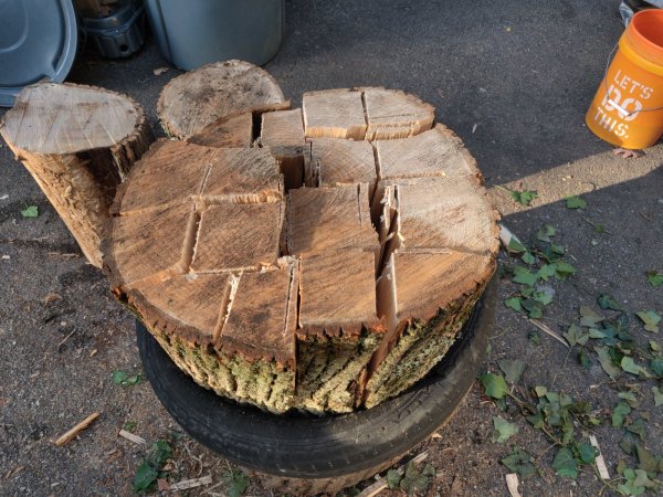 2020-10-15 17.03.33.jpg