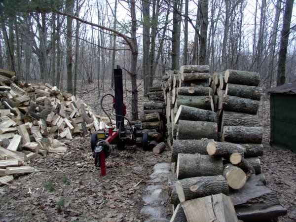 3-31-09b - Copy - Copy - Copy.JPG