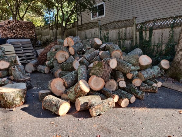 2020-10-17 15.59.14.jpg