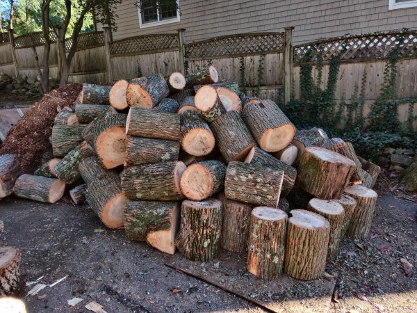 2020-10-17 16.10.47.jpg