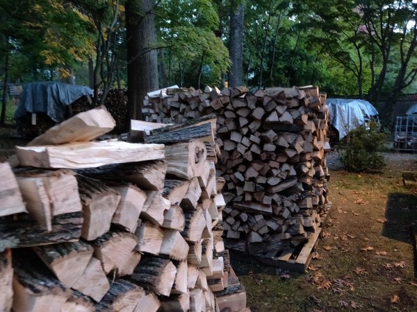 2020-10-18 18.12.13.jpg