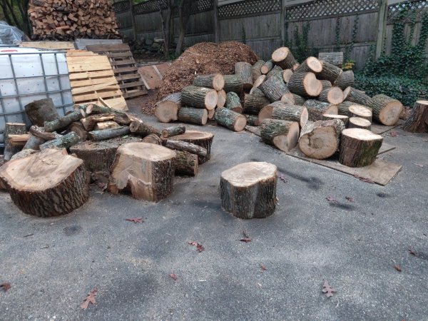 2020-10-19 17.55.18.jpg