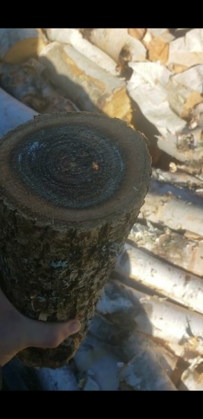 Screenshot_20201023-182718_Video Player.jpg