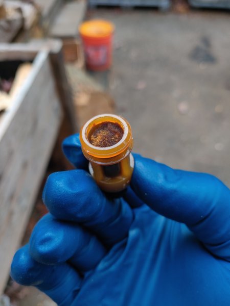 2020-10-25 15.04.54.jpg