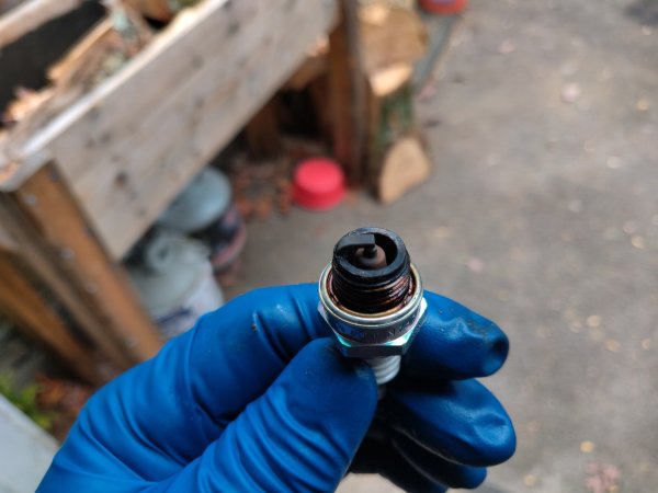 2020-10-25 15.08.54.jpg