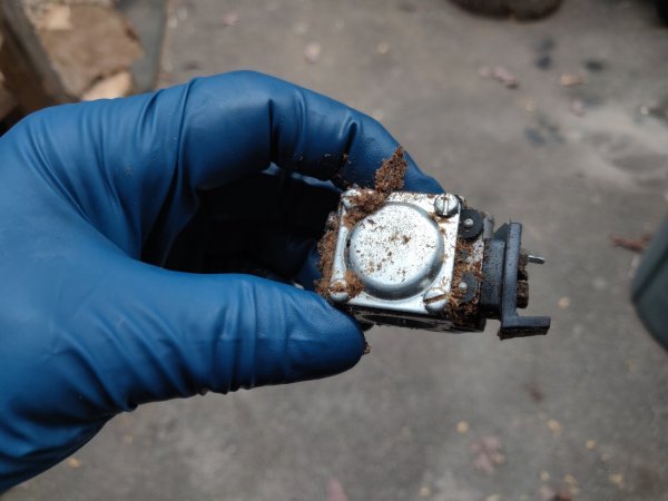 2020-10-25 15.16.03.jpg