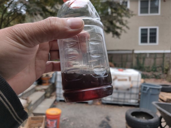 2020-10-25 15.26.27.jpg