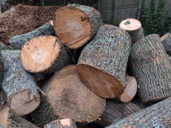 2020-10-07 15.46.03.jpg