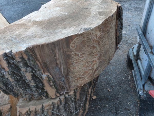 2020-09-20 08.58.44.jpg