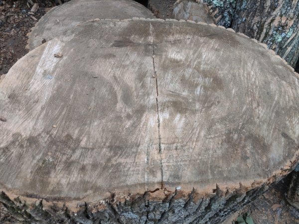 2020-09-20 09.33.19.jpg