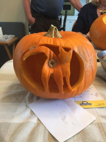 Cat pumpkin.jpg