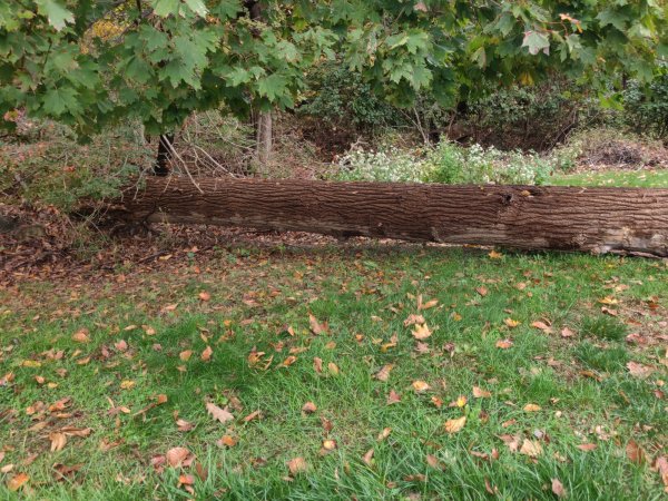 2020-10-28 15.23.45.jpg