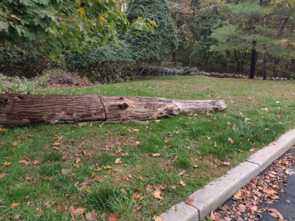 2020-10-28 15.23.47.jpg