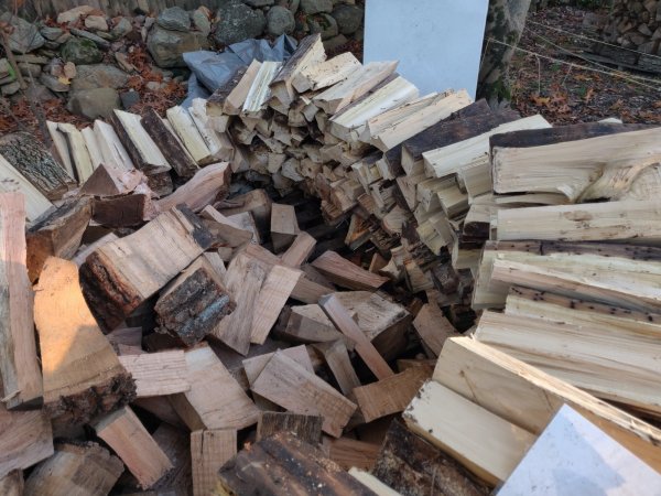 2020-10-31 16.58.30.jpg