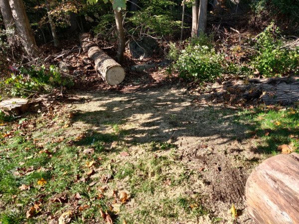 2020-10-31 14.42.40.jpg