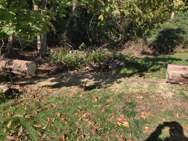 2020-10-31 14.41.53.jpg