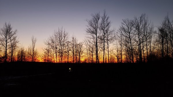 20201102_172116 - Copy.jpg