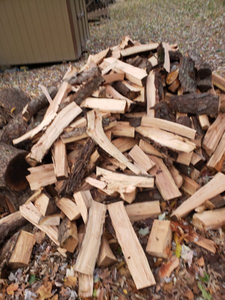 20201102_160413.jpg