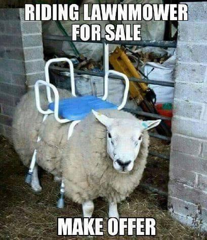 Riding lawnmower for sale.jpg