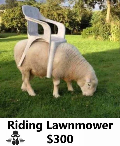 Riding lawnmower-2.jpg