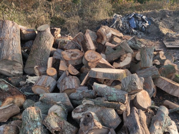 2020-11-05 07.57.34.jpg