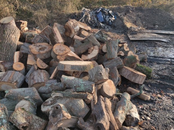 2020-11-05 07.57.35.jpg