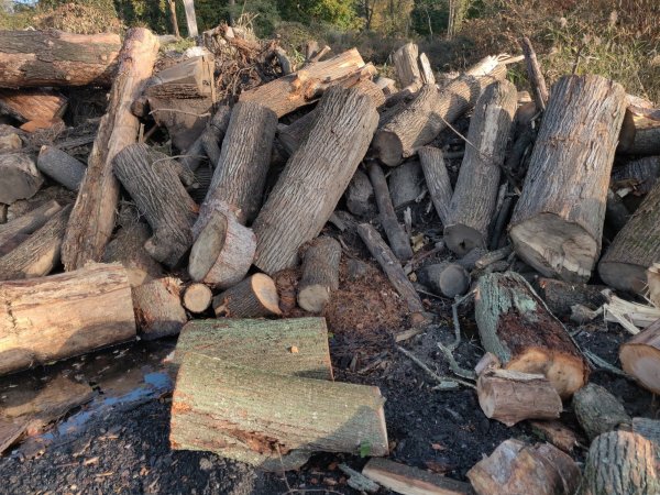 2020-11-05 07.57.37.jpg