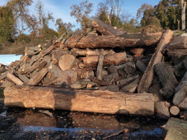 2020-11-05 07.57.38.jpg