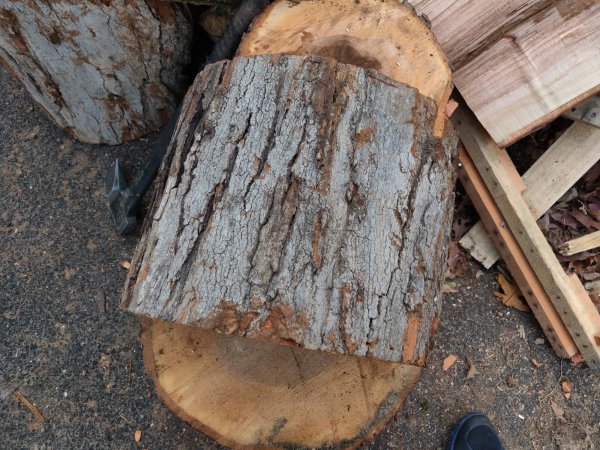 2020-11-05 08.28.16.jpg