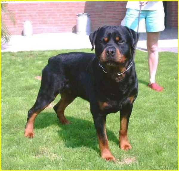 Homeland Security-1.jpg