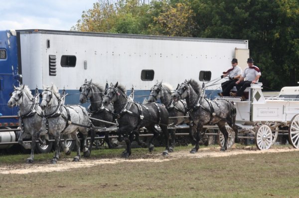 Renrew Fair 2014 041.JPG