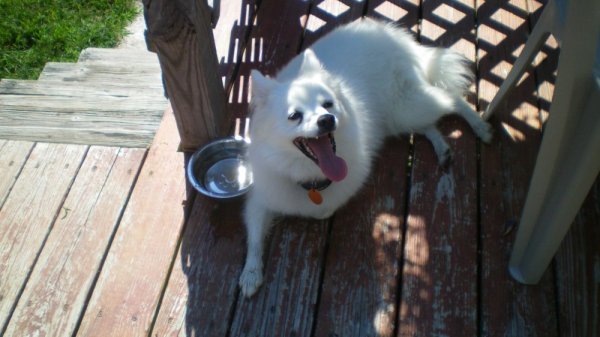 100_0002.JPG
