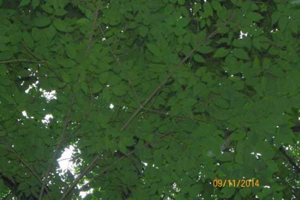 100_9963.JPG