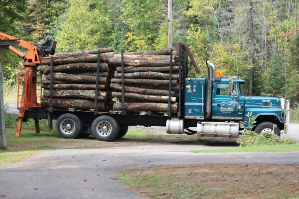 Firewood Delivery 15 Sept 14 001.JPG