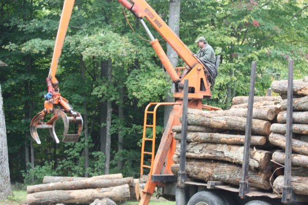 Firewood Delivery 15 Sept 14 002.JPG