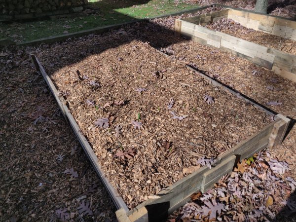 2020-11-07 11.52.03.jpg